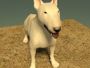 bull terrier 3Dモデル
