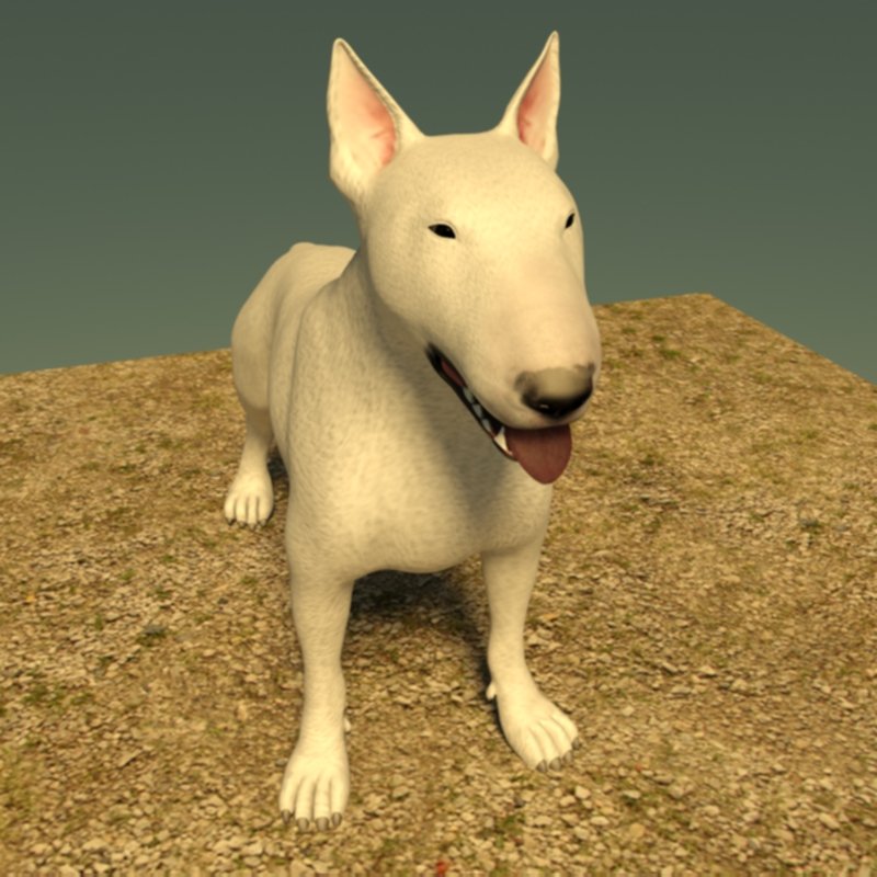 Bull Terrier 3dモデル In 犬 3dexport
