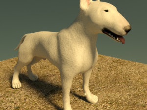 bull terrier 3D Model