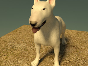 bull terrier 3D Model