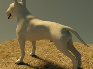 bull terrier 3D Model