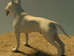 bull terrier 3D Model