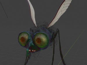 fly-rigged 3D Model
