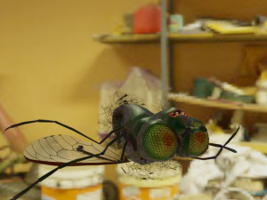 fly-rigged 3D Модель