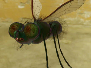 fly-rigged 3D Model