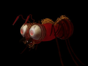 ant-rigged 3D मॉडल
