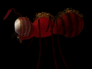 ant-rigged 3D मॉडल