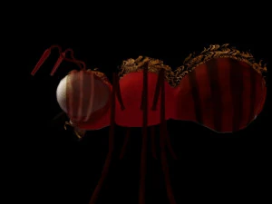 アリ装備 3Dモデル