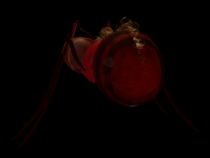 ant-rigged 3D मॉडल