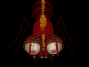 ant-rigged 3D मॉडल