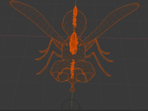 firefly Model 3D