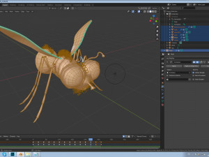 firefly Model 3D