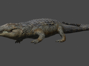 aligator Modelo 3D