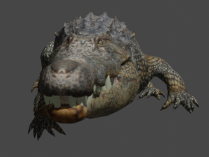 aligator 3D Model