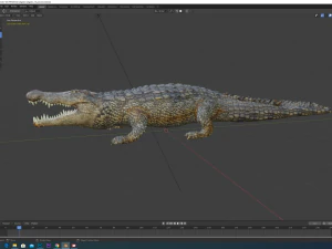 aligator 3D Model