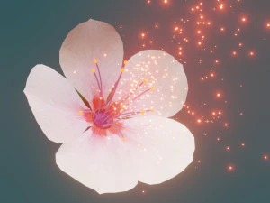 樱花 3D 模型