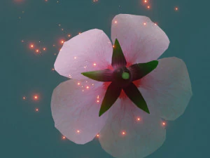 cherry blossom 3D Model