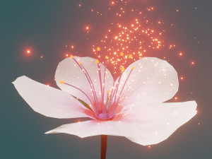 cherry blossom 3D 模型