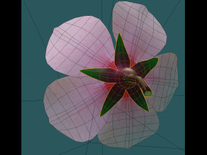 cherry blossom 3D 模型