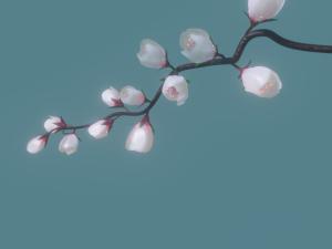 Cherry blossom branch 3Dモデル