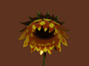 sunflower 3D 模型