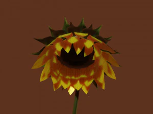 sunflower 3D Model