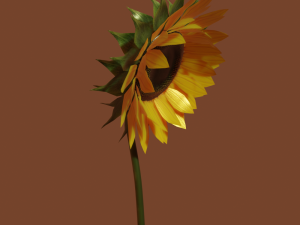sunflower 3D 模型