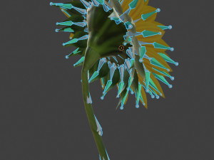 sunflower 3D 模型