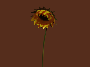 sunflower 3D 模型