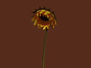 sunflower 3D Model