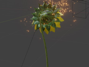 sunflower 3D 模型