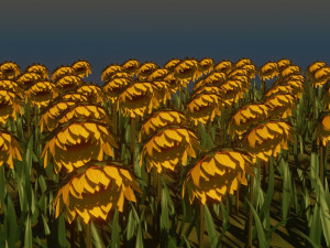 sunflower 3D 模型