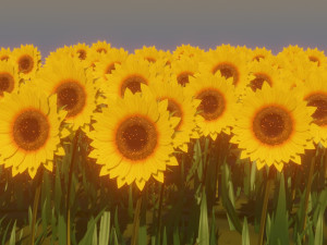 sunflower 3D 模型