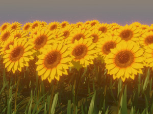 sunflower 3D 模型