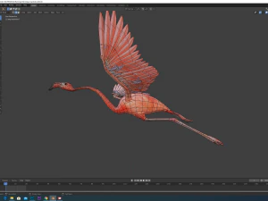 flamingo flying 3D Model
