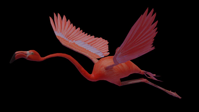 flamingo flying 3D Model .c4d .max .obj .3ds .fbx .stl .blend