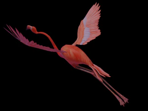 flamingo flying 3D Model
