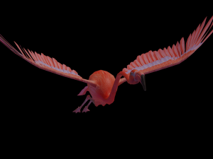 flamingo flying Modelo 3D