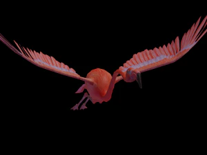 flamingo flying 3D Model