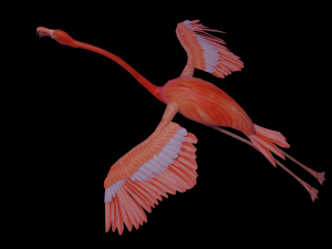 flamingo flying Modelo 3D