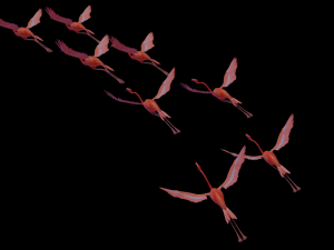 flamingo flying Modelo 3D