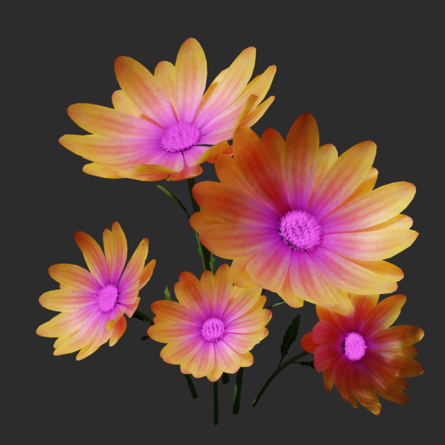 daisy flower 3D 模型 .c4d .max .obj .3ds .fbx .stl .blend 