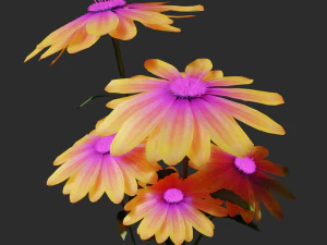 daisy flower 3D Model