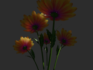 daisy flower 3D 模型