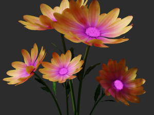 daisy flower 3D 模型