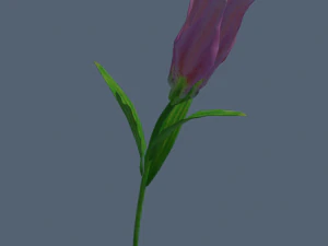 lily flower rigged animated 3D Model