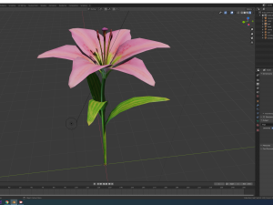 lily flower rigged animated 3D Model