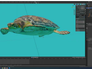 sea turtle 3D Model