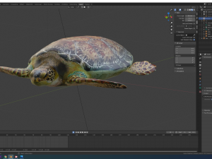 sea turtle 3D मॉडल