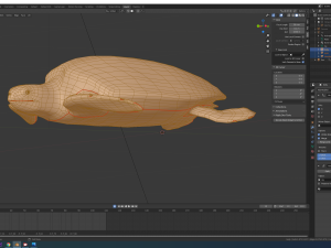 sea turtle 3D मॉडल